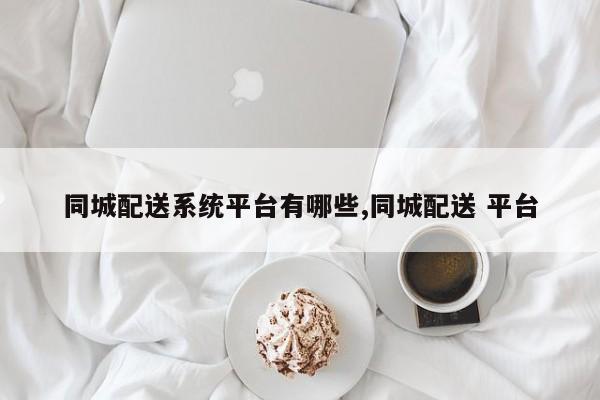 同城配送系统平台有哪些,同城配送 平台