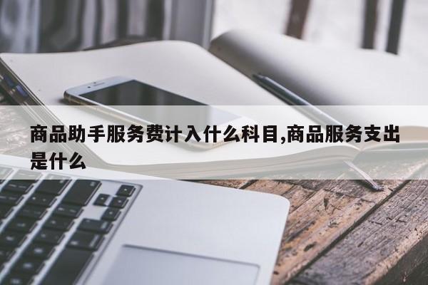 商品助手服务费计入什么科目,商品服务支出是什么