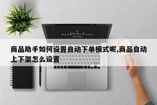 商品助手如何设置自动下单模式呢,商品自动上下架怎么设置