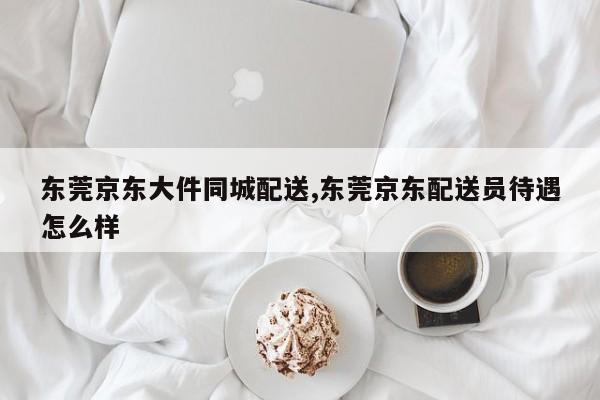 东莞京东大件同城配送,东莞京东配送员待遇怎么样